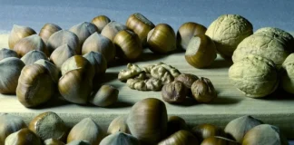 10 alimente bogate în magneziu de consumat în fiecare zi