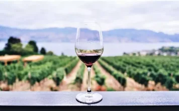 12 sfaturi pentru a alege un vin bun (și ieftin).