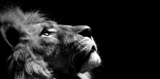 30 de documente spectaculoase ale National Geographic