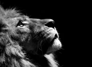 30 de documente spectaculoase ale National Geographic