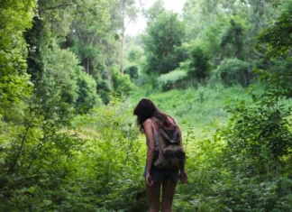 50 de fraze de călătorie pentru călători