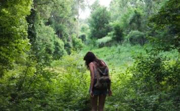 50 de fraze de călătorie pentru călători