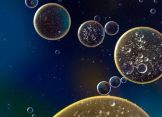 Cele 12 diferențe dintre celulele eucariote și cele procariote