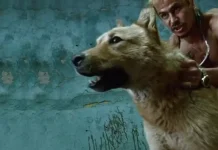 Cele 20 de filme mexicane pe care trebuie să le vezi