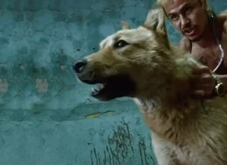 Cele 20 de filme mexicane pe care trebuie să le vezi