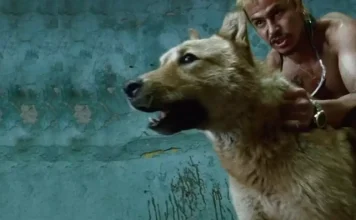 Cele 20 de filme mexicane pe care trebuie să le vezi