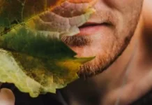 Cele 5 părți ale unei plante și funcțiile lor