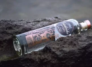 Cele mai bune 10 mărci de gin din lume