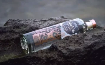 Cele mai bune 10 mărci de gin din lume