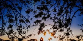 Cele mai bune 12 povești de dragoste pentru îndrăgostiți și romantici