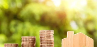Diferența dintre salariul brut și salariul net