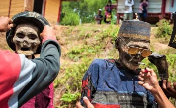 Ei scot cadavre în Indonezia pentru a le da viață