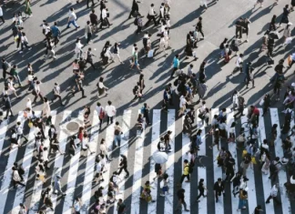 Eșantionarea: ce este, pentru ce este și tipuri