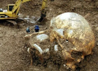 Nephilim: ce sau cine erau aceste ființe?