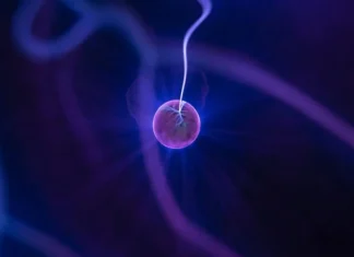 Părțile atomului și proprietățile lor