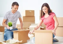 Plante de interior: tipuri, îngrijire și exemple