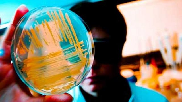 1 infricosator-bioweapon-11_tn