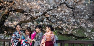 Femeile in Japonia timpurie: Rol, drepturi si cultura