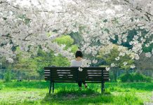 10 filozofii japoneze de care toata lumea ar trebui sa fie constienta