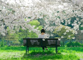 10 filozofii japoneze de care toata lumea ar trebui sa fie constienta