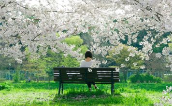10 filozofii japoneze de care toata lumea ar trebui sa fie constienta